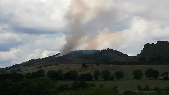 Smoke from the Roaches