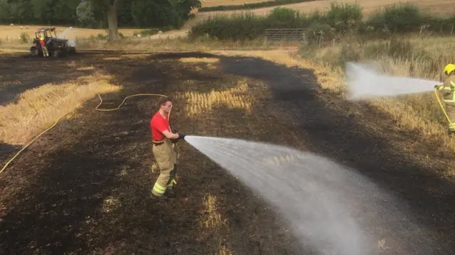 Firefighter spraying water on crops