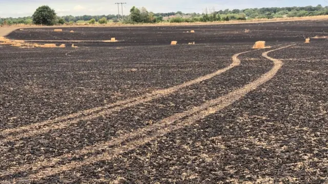 Ackworth wheat field gone up in smoke