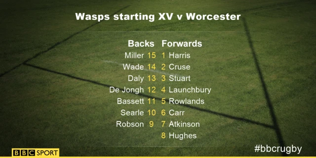 Wasps XV