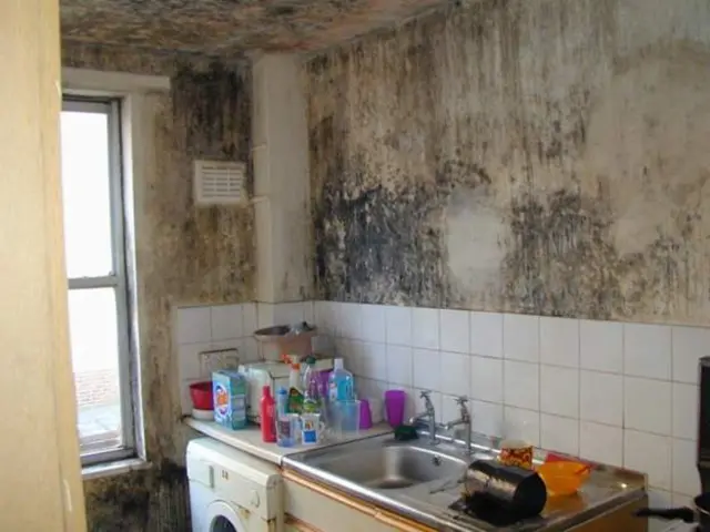 mouldy kitchen