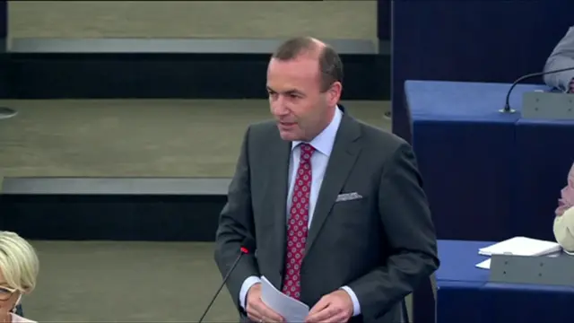 Manfred Weber