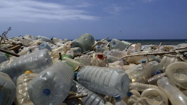 Plastic bottles on the beach