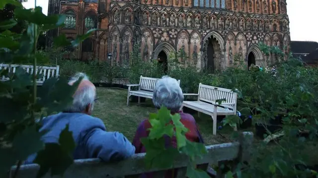 Trees outside the cathedral