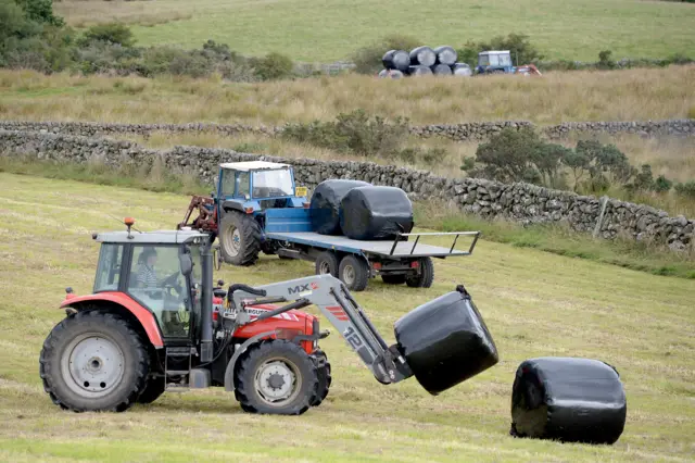 Tractors in a field