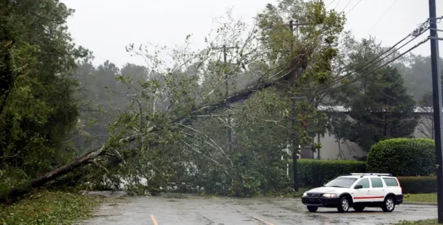 A motorist navigates away from a massive fallen tree in Wilmington, North Carolina