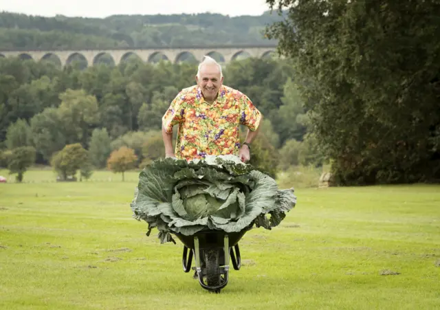 Ian Neale pushing a cabbage in a wheelbarrow