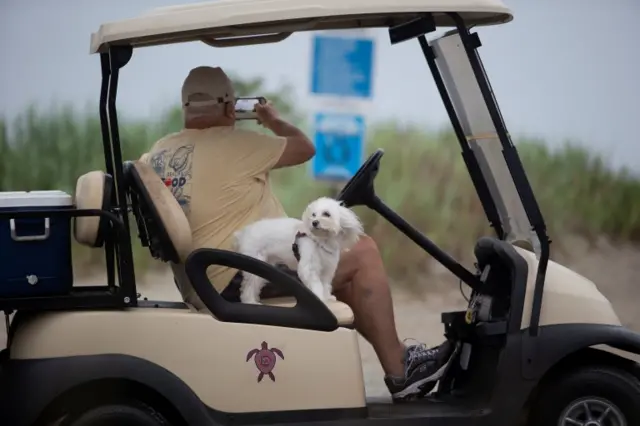 Man and dog in golf cart on beach