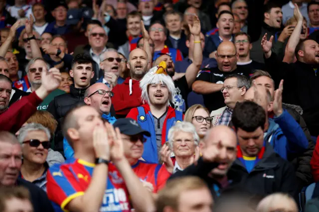 Crystal Palace fans