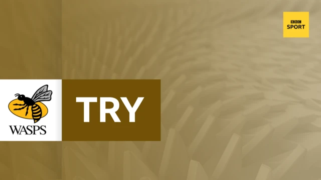 Wasps try