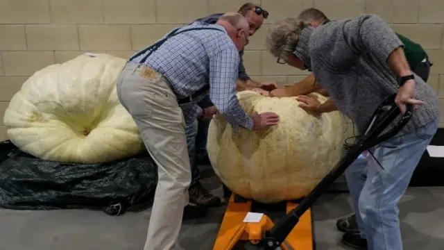 Harrogate Autumn Flower Show