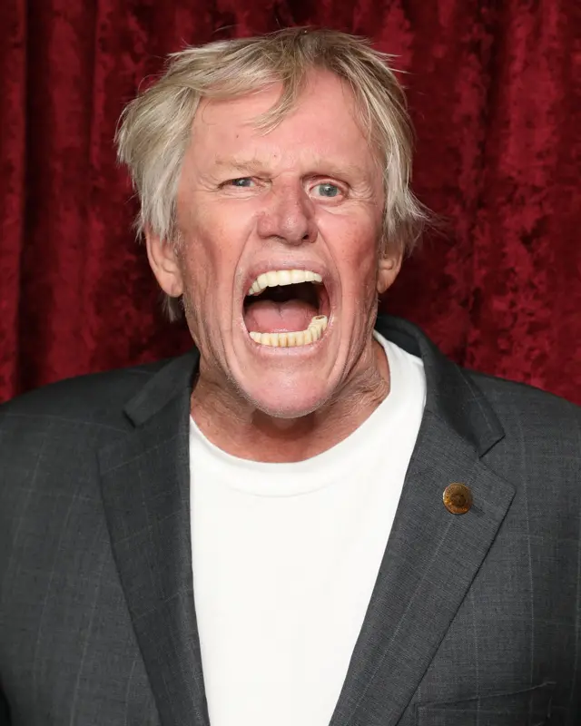Gary Busey