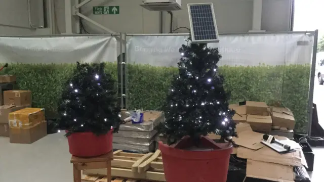 Christmas Trees