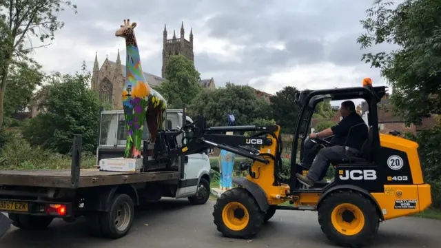 One of the giraffes being removed