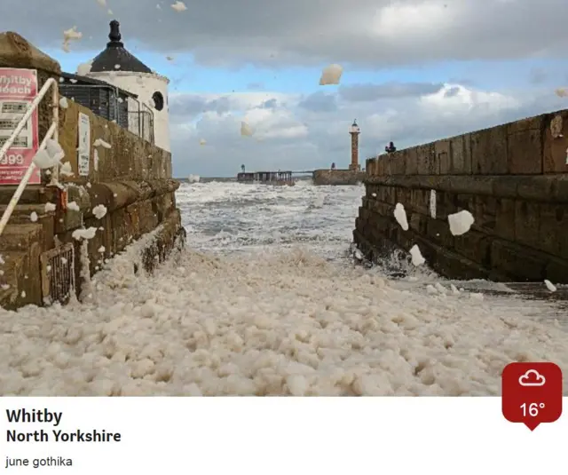 Whitby foam