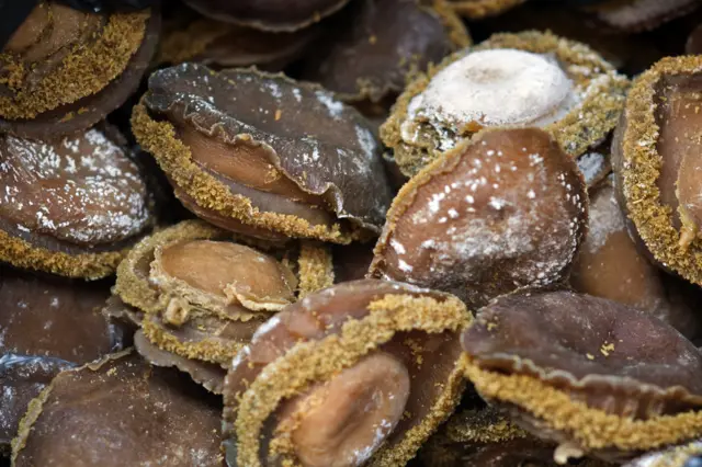 View of dried Abalone with a value of about 2 million USD seized by the Ministry of Agriculture, Forestry and Fisheries (DAFF) and the Enforcement Unit of the South African Revenue Services on March 27, 2012, in Cape Town.