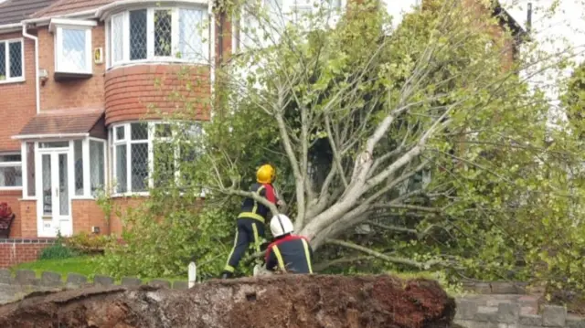 Tree against house