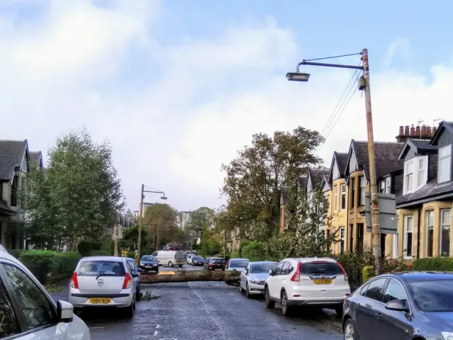 A tree falls in road in Scotstoun, Glasgow