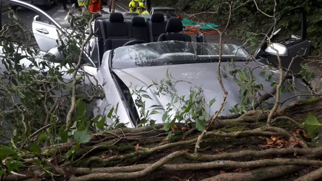 A car after hitting a fallen tree