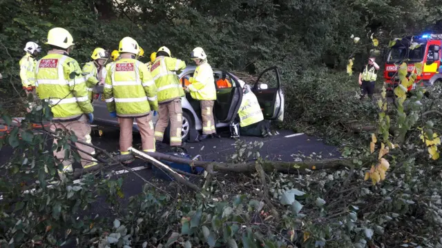 A car that crashed into a tree