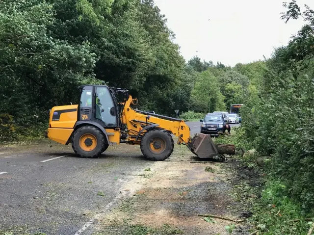 Trees down in County Fermanagh