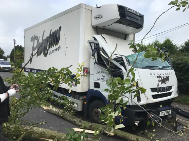 Tree falls on a lorry near Dungannon