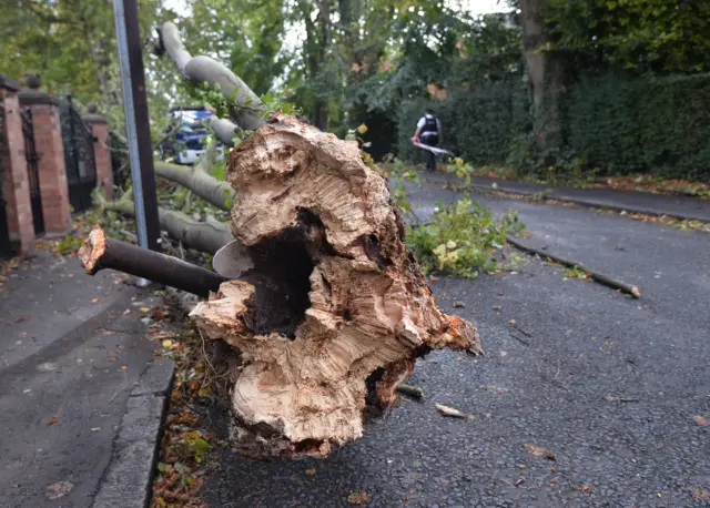 A fallen tree hits a oil lorry on Osbourne Park near the Lisburn Road in Belfast during the heavy winds on Wednesday.