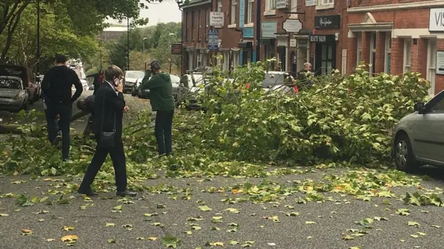 Branch down on Pitsford Street