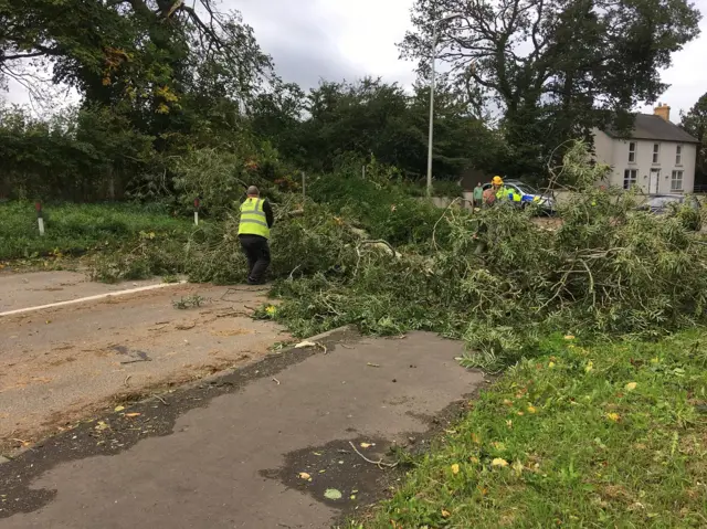 Trees down on the Hillhall Road