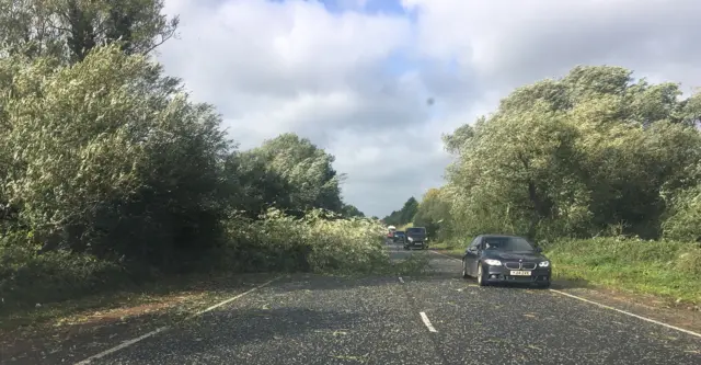 Tree down on the Portadown Road