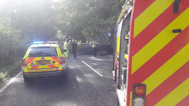 Emergency services attend as a car hits a fallen tree