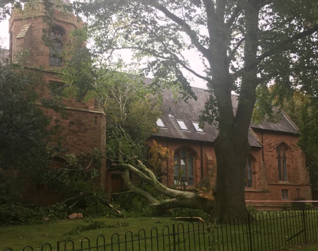 Tree crashed into church