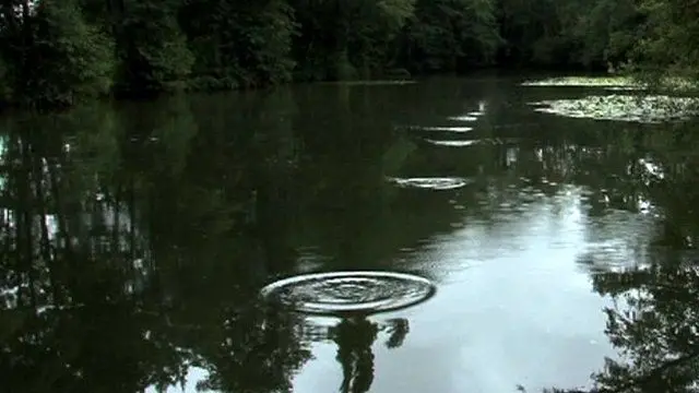 A stone skimming across the water