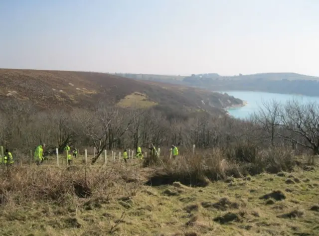 Park Lake on Bodmin Moor