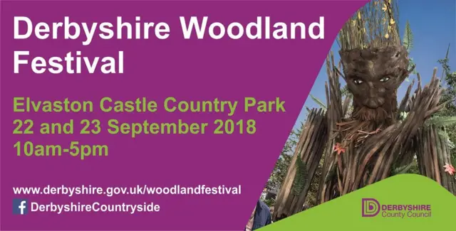 Woodland Festival poster