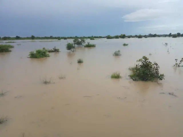 A picture showing flooded land