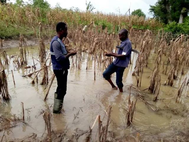 A picture two men standing on a flooded plantation