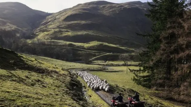 Scottish hill farmers