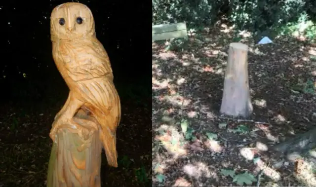 The owl, before and after being taken