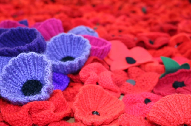 Knitted poppies