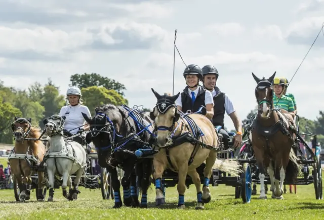 Horse fun at the Chatsworth Country Fair