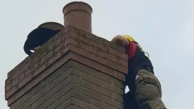 Cat on chimney being rescued