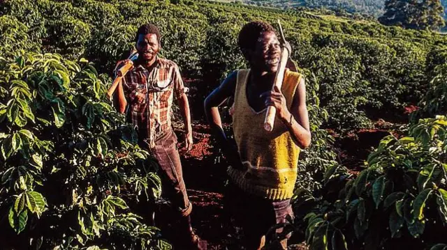 Zimbabwe coffee farmers