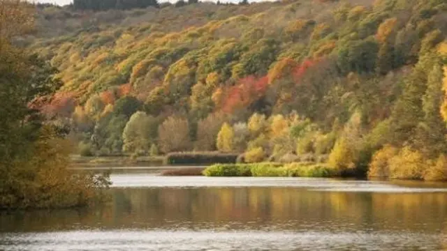 Bodenham Lakes