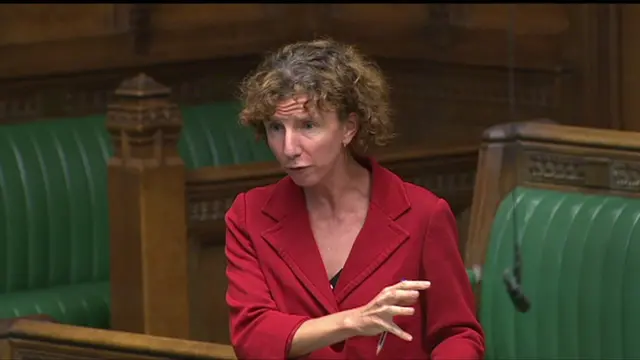 Labour MP Anneliese Dodds