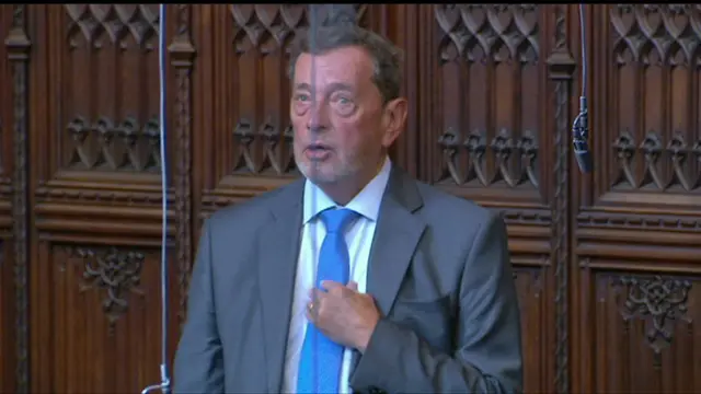 Labour Peer Lord Blunkett