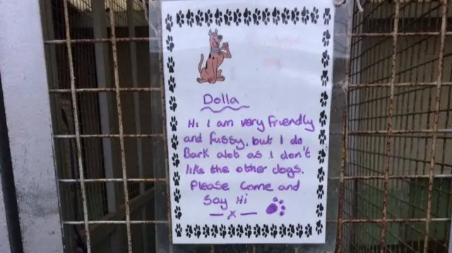 A sign on the door of kennels in Hull