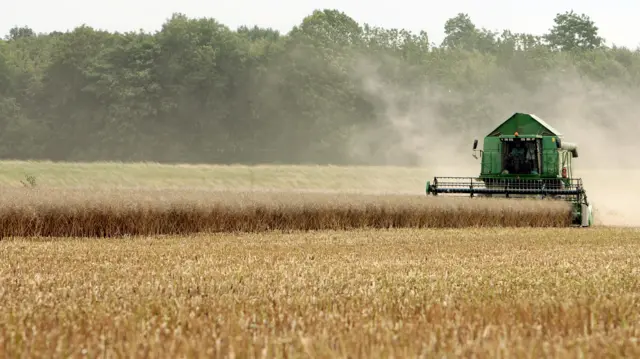 Combine harvester