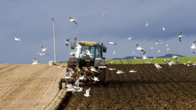 Rural Economy Secretary Fergus Ewing highlighted the need to maintain support for hill farmers in Scotland