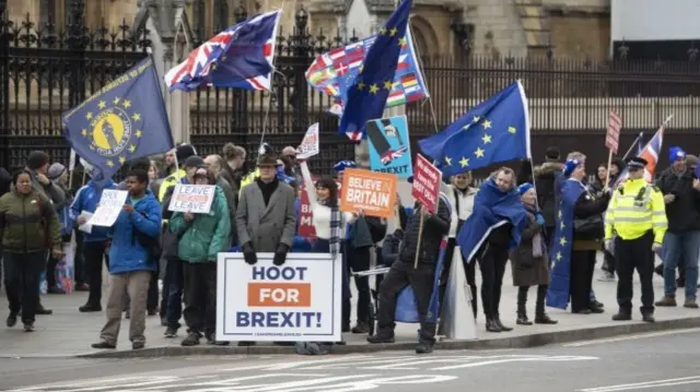 Protesters in Westminster